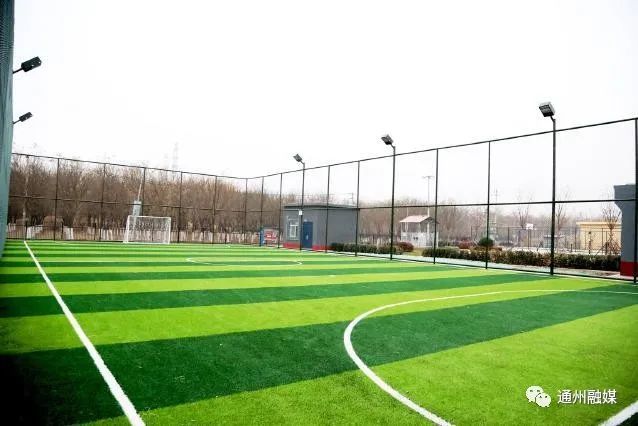  巴黎太子公园球场草皮质量问题引争议  